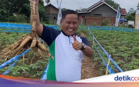 Dulu Pelawak, Kini Narji Cagur Sukses Punya 1.000 Hektar Lahan Pertanian