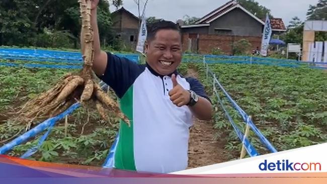 Dulu Pelawak, Kini Narji Cagur Sukses Punya 1.000 Hektar Lahan Pertanian