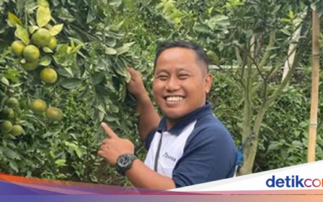 5 Artis Indonesia Ini Hobi Berkebun, Tanam Sayur Segar hingga Buah Manis