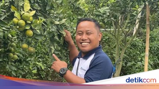 5 Artis Indonesia Ini Hobi Berkebun, Tanam Sayur Segar hingga Buah Manis