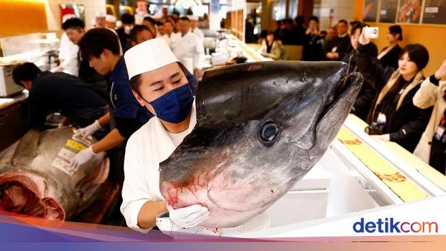 Buat yang Sanggup-sanggup Bayar Aja, Ini 6 Ikan Termahal di Dunia