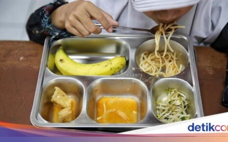 Heboh Keracunan MBG, Ini Langkah Pertama Saat Keracunan Makanan