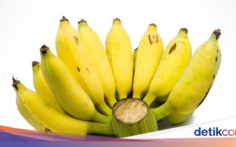 Uniknya Pisang Uter Khas Gunungkidul yang Cocok Diolah Jadi Tepung