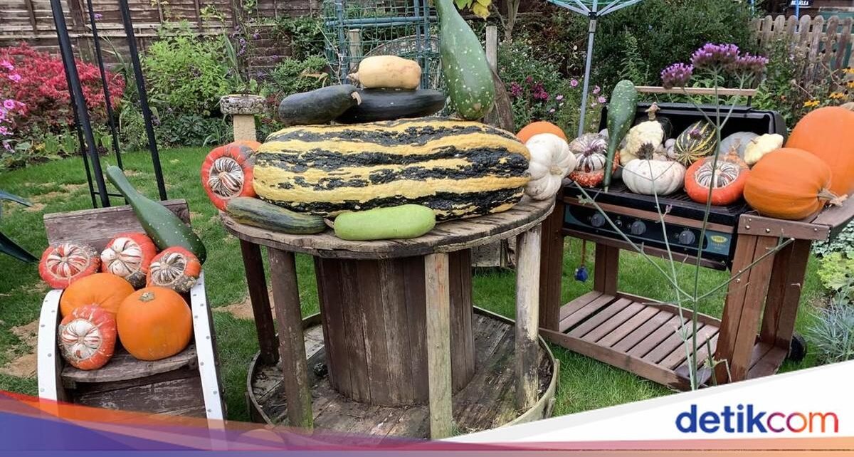 Unik! Pria Ini Sukses Panen Sayur dan Buah Raksa di Halaman Rumah