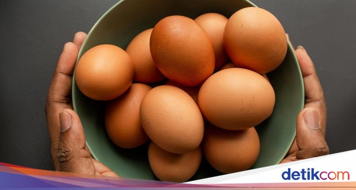 Telur Ayam Kampung, Negeri, hingga Organik: Mana yang Paling Sehat?