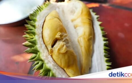 10 Durian Terbaik dengan Tekstur Creamy dan Rasa Unik, Ada dari Indonesia?