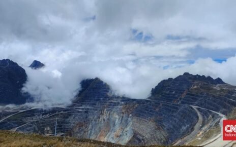 Freeport Buka Suara soal Kasih 12 Persen Saham Gratis ke Pemerintah RI