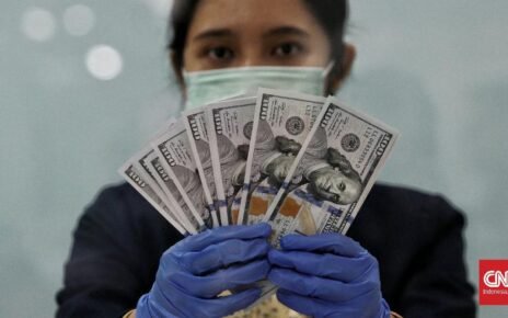 Terkuras Buat Bayar Utang, Cadangan Devisa Tersisa US$148,7 M