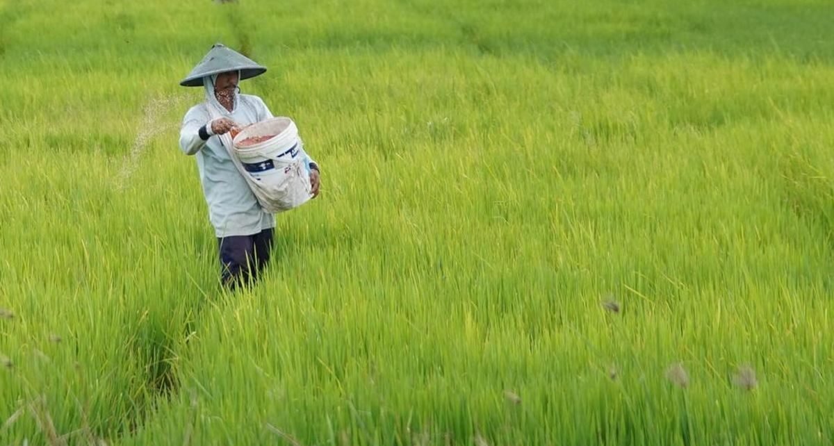 Penetapan HPP hingga Reformasi Tata Kelola