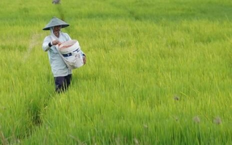 Penetapan HPP hingga Reformasi Tata Kelola