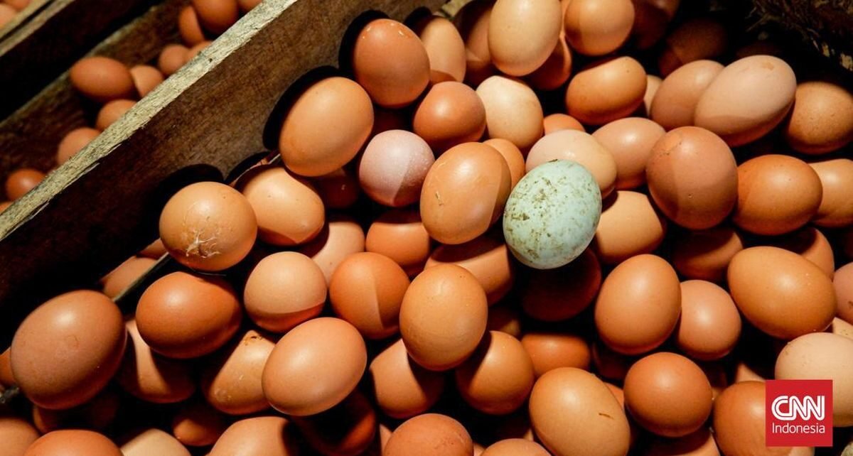 Harga Telur di Solo Tembus Rp30 Ribu, Pedagang Dengar Gara-gara MBG