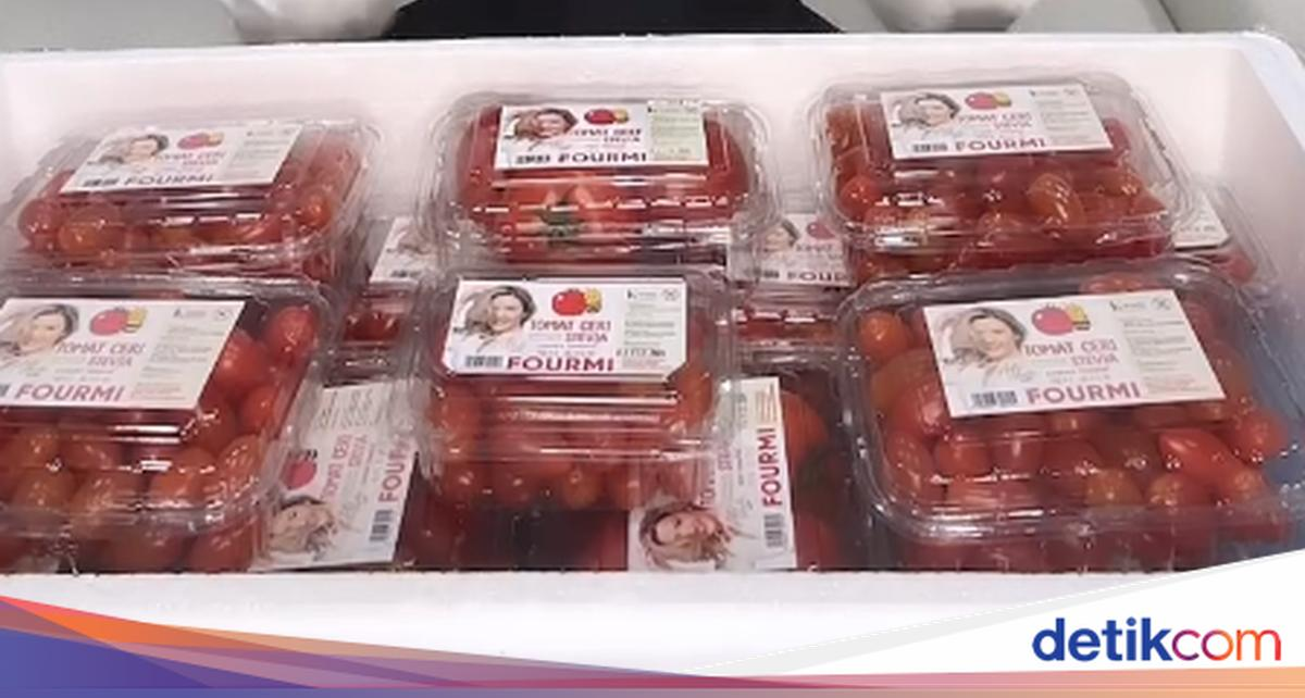 Asty Ananta Kini Jadi Pengusaha Tomat Cherry Sukses, Begini Potretnya!