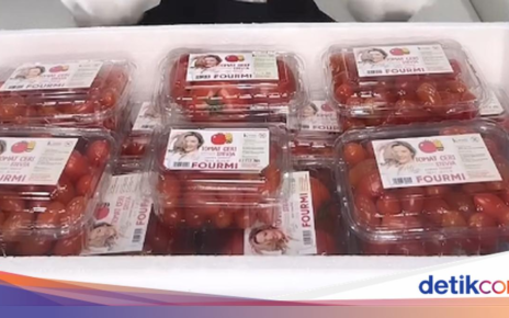 Asty Ananta Kini Jadi Pengusaha Tomat Cherry Sukses, Begini Potretnya!