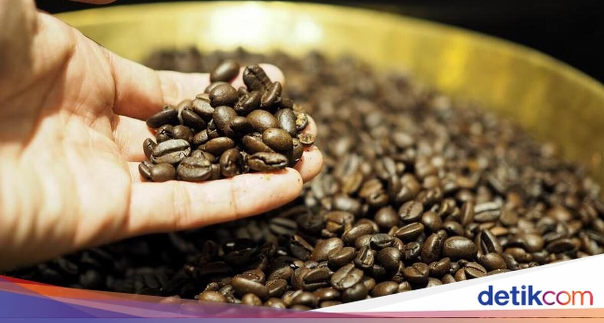 Mau Biji Kopi Tetap Segar? Bekukan di Freezer dengan Cara Ini