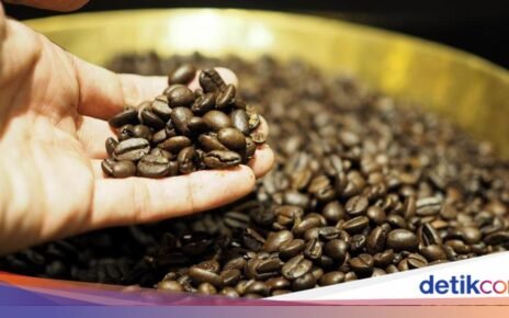 Mau Biji Kopi Tetap Segar? Bekukan di Freezer dengan Cara Ini