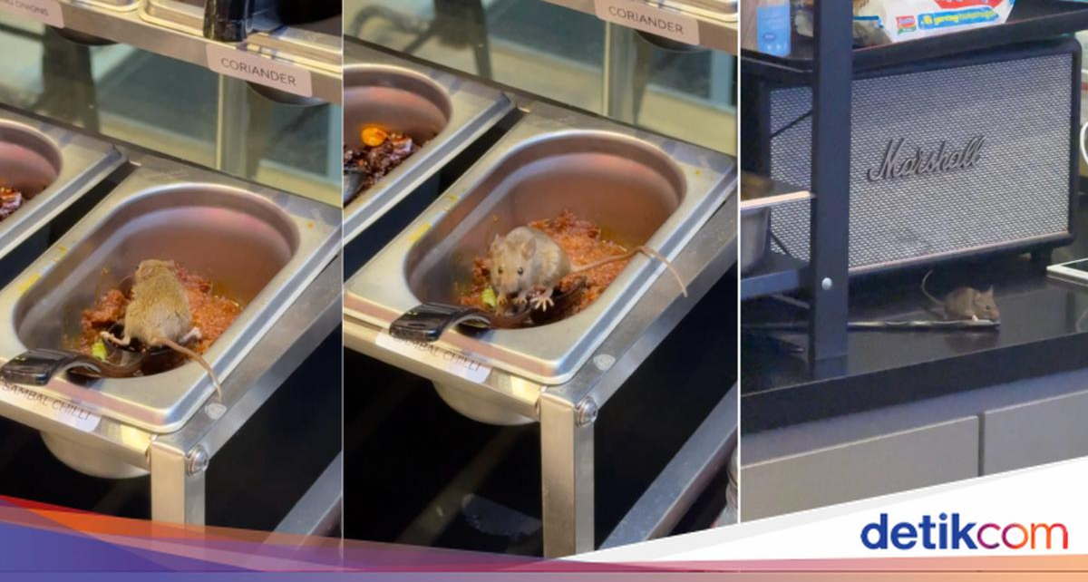 Duh! Tikus Ini Asyik 'Berenang' di Wadah Saus, Restoran Langsung Ditutup