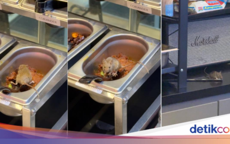 Duh! Tikus Ini Asyik 'Berenang' di Wadah Saus, Restoran Langsung Ditutup