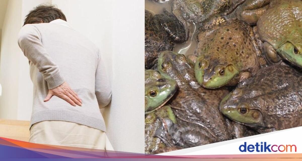 Gegara Percaya Ramuan Tradisional, Nenek Ini Telan 8 Kodok Hidup!