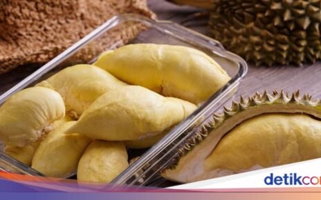Petani Semringah! Durian Indonesia Bakal Siap Ekspor ke China