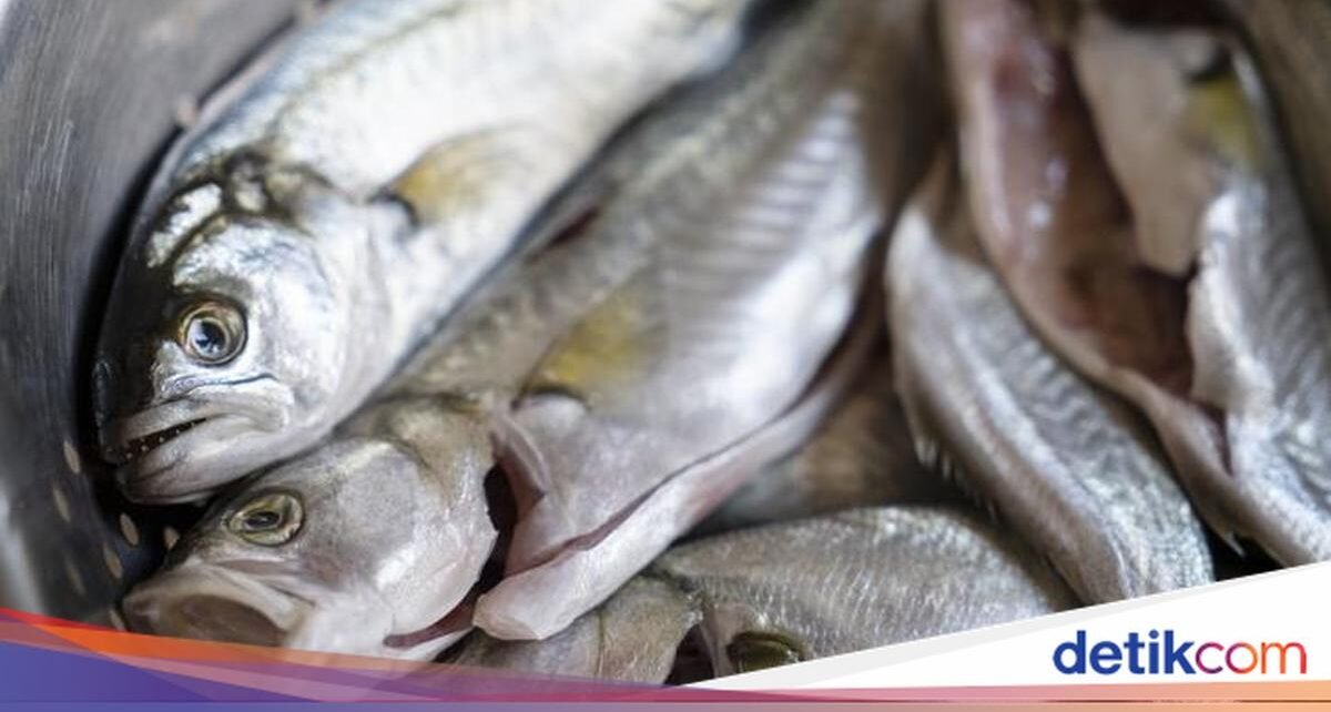 Jangan Asal Getok! Chef Ungkap Cara Mematikan Ikan Agar Halal