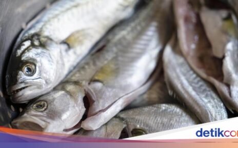 Jangan Asal Getok! Chef Ungkap Cara Mematikan Ikan Agar Halal