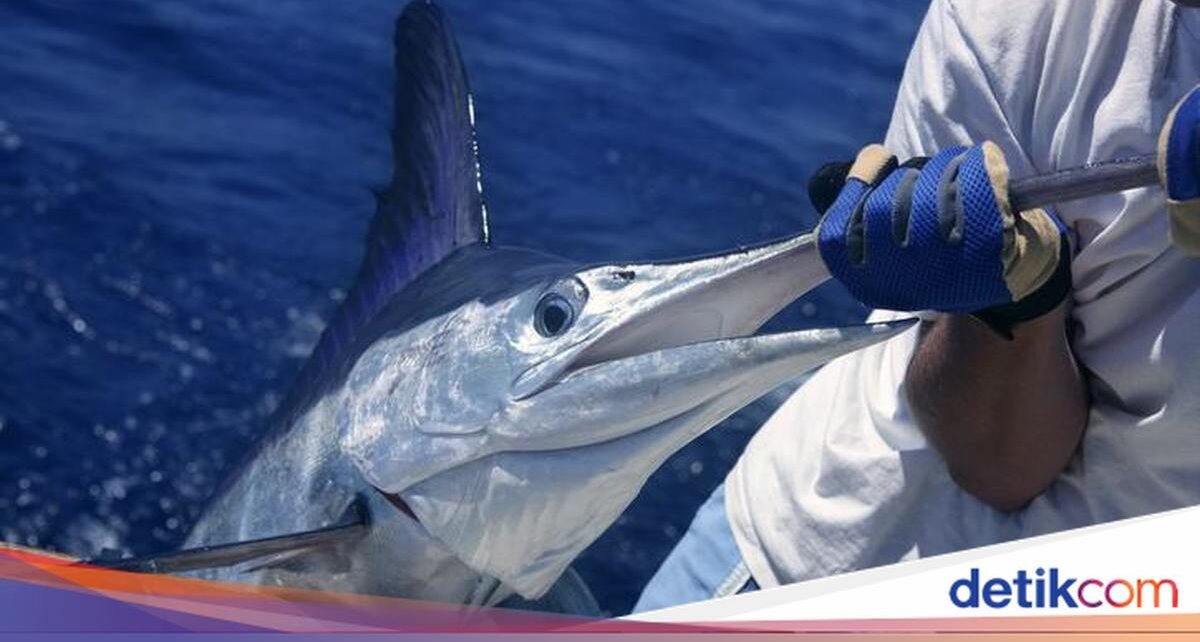 Hati-Hati! 15 Ikan Laut Ini Ternyata Bisa Mengandung Merkuri Tinggi