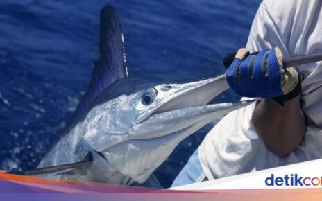 Hati-Hati! 15 Ikan Laut Ini Ternyata Bisa Mengandung Merkuri Tinggi