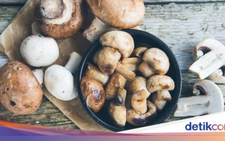 5 Tips Menyimpan Jamur agar Tetap Segar dan Tahan Lama