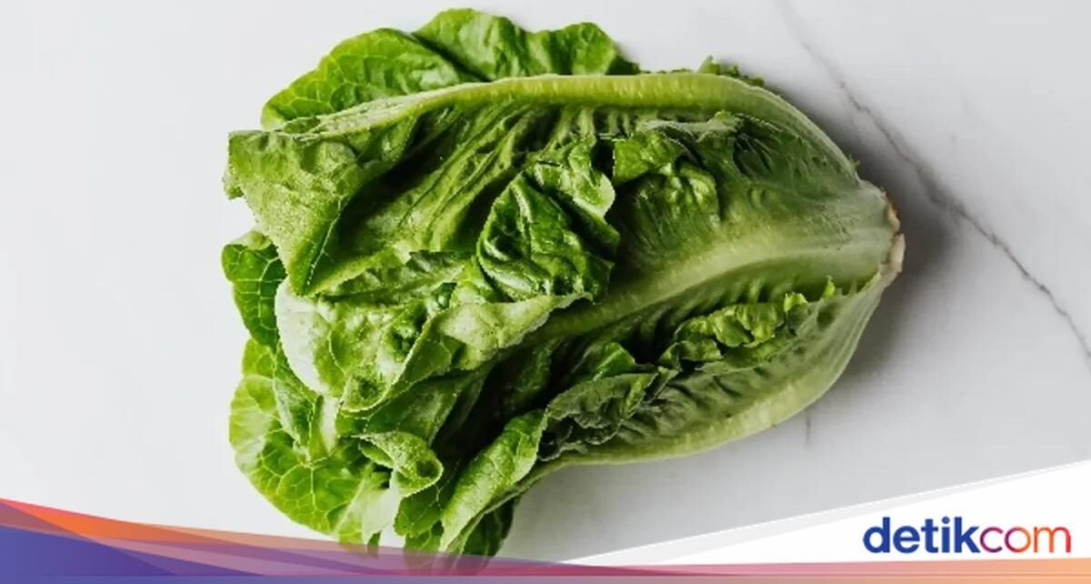 5 Trik Simpel agar Selada Tetap Segar dan Tak Cepat Layu di Kulkas