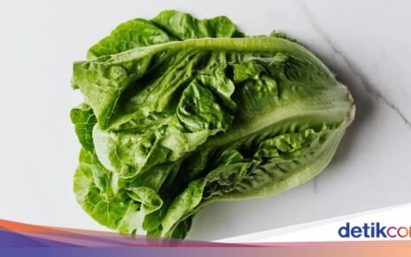 5 Trik Simpel agar Selada Tetap Segar dan Tak Cepat Layu di Kulkas