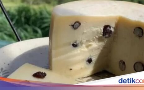 Keju Unik dengan Campuran Semut Panggang Ini Menang Penghargaan