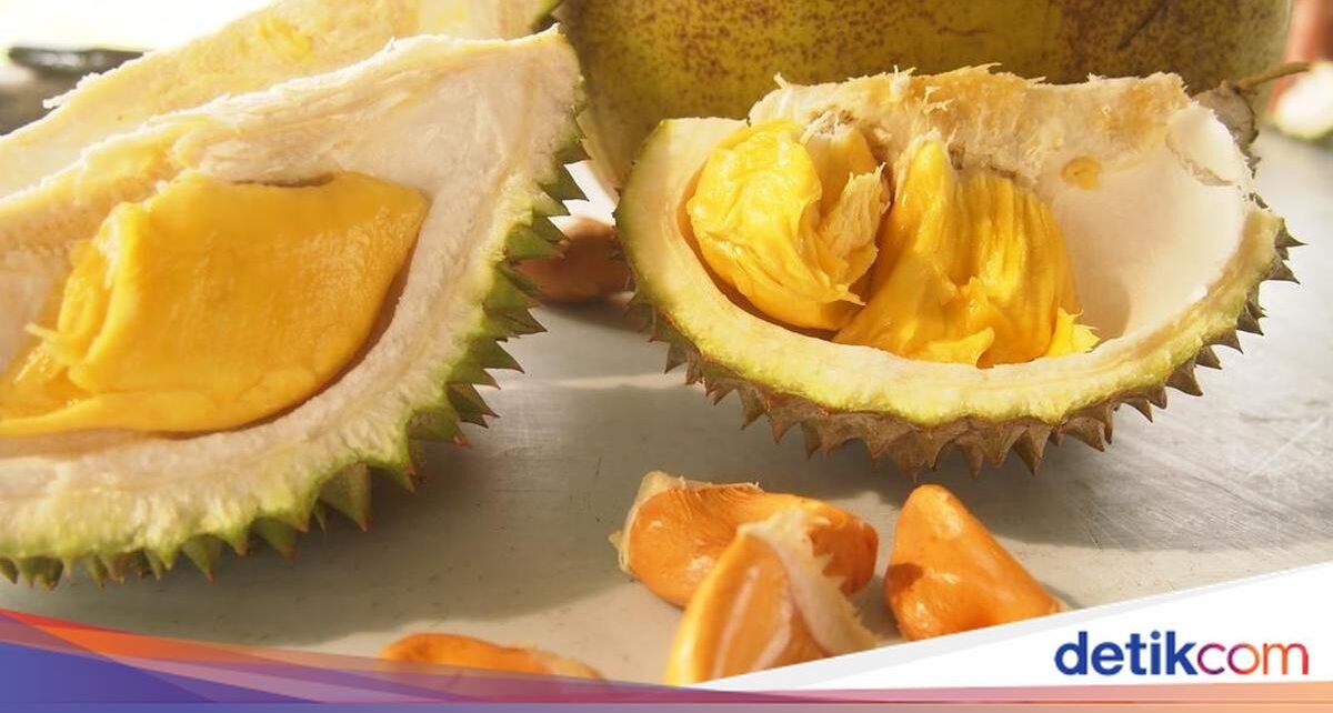 Durian Musang King Palsu Sempat Bikin Resah, Begini Akal Bulus Penjual