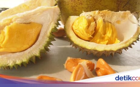 Durian Musang King Palsu Sempat Bikin Resah, Begini Akal Bulus Penjual