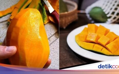5 Fakta Mangga Harumanis 'Khusus' yang Hanya Ditemukan di Perlis