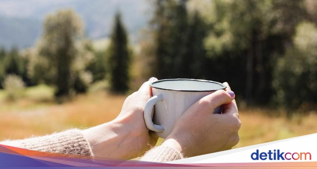 Ngopi Pagi atau Malam? Begini Cara Ideal Minum Kopi agar Nikmat Maksimal