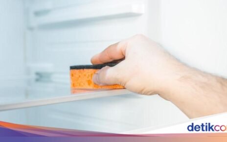 Spons Cuci Piring Juga Bisa untuk Bersihkan Kulkas, Begini Caranya