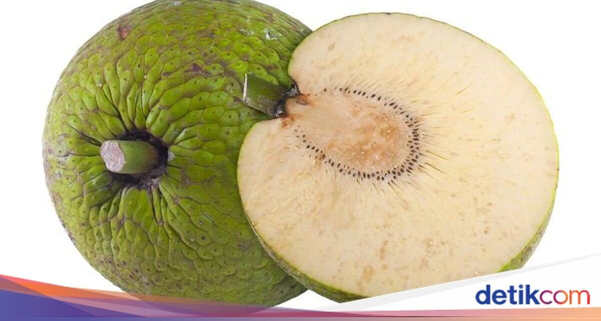 5 Fakta Sukun, Buah Tropis Indonesia yang Jadi Incaran di Eropa
