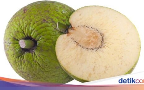 5 Fakta Sukun, Buah Tropis Indonesia yang Jadi Incaran di Eropa