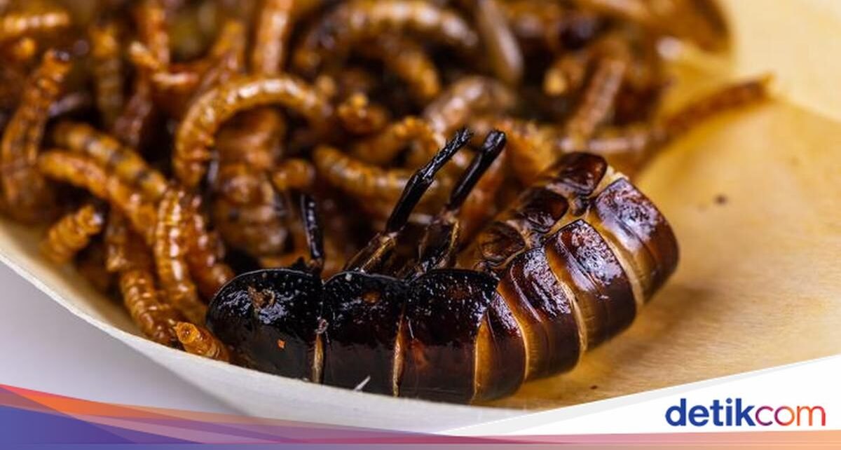 Biar Irit Warga China Kini Makan Ulat, Sebut Rasanya Mirip Kacang Almond