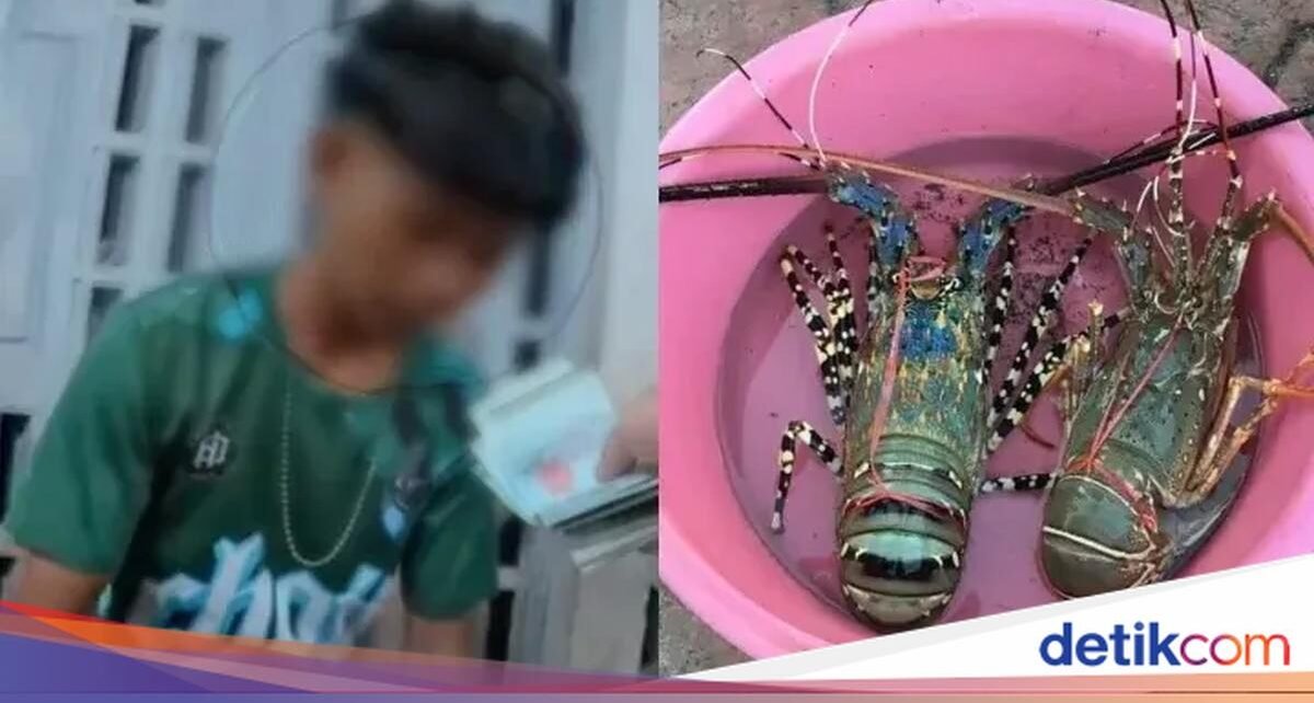 Lobster Ditukar Diam-Diam, Turis Ini Nyaris Ketipu di Kios Seafood