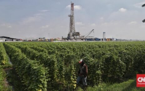 Pertamina Temukan Harta Karun Terbesar, Ini Lokasinya