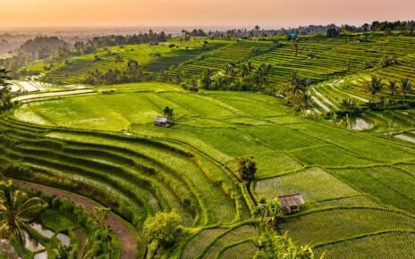 Petrokimia Gresik Paparkan Strategi Dekarbonisasi di COP30 Brasil