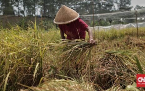 HET Baru Berlaku, Petani Malang Rasakan Harga Pupuk Turun