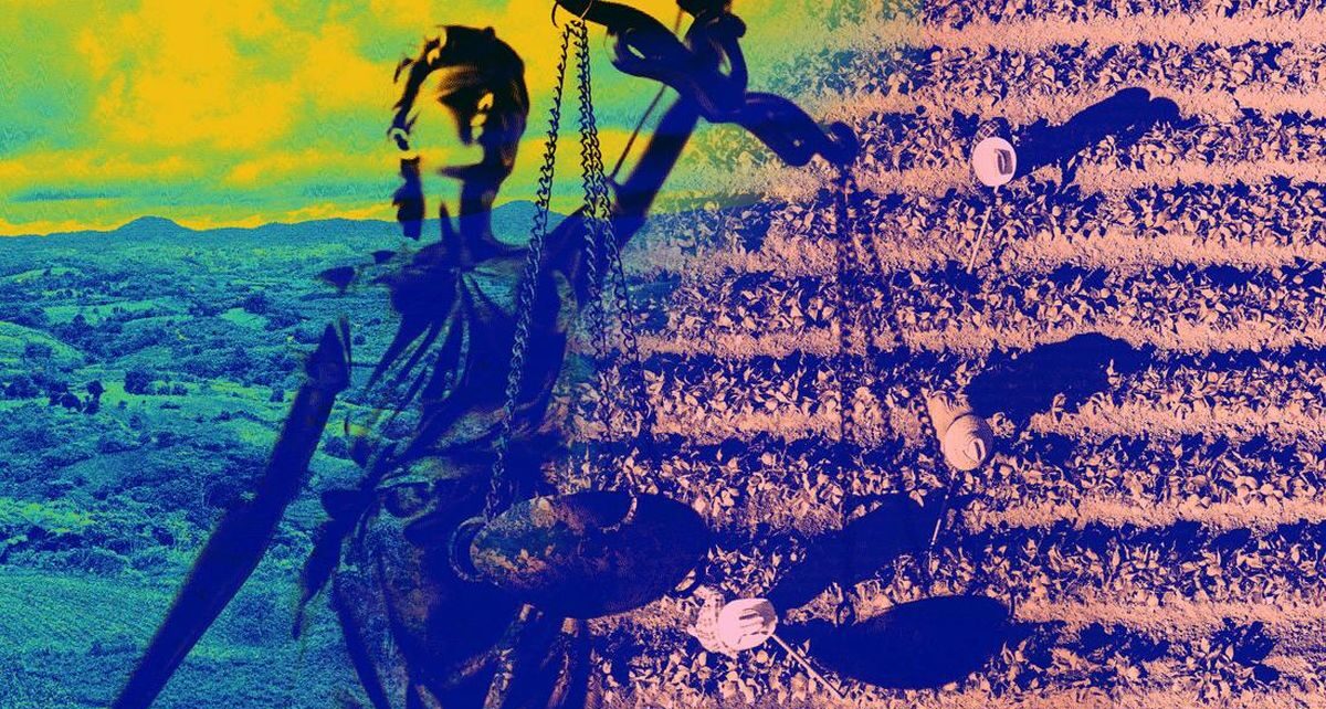 Mengenal TORA, Tanah yang akan Dibagikan Negara ke 1 Juta Warga Miskin