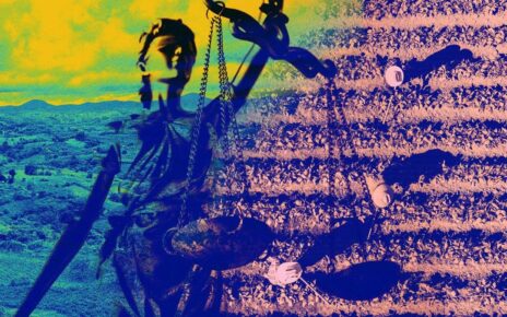 Mengenal TORA, Tanah yang akan Dibagikan Negara ke 1 Juta Warga Miskin