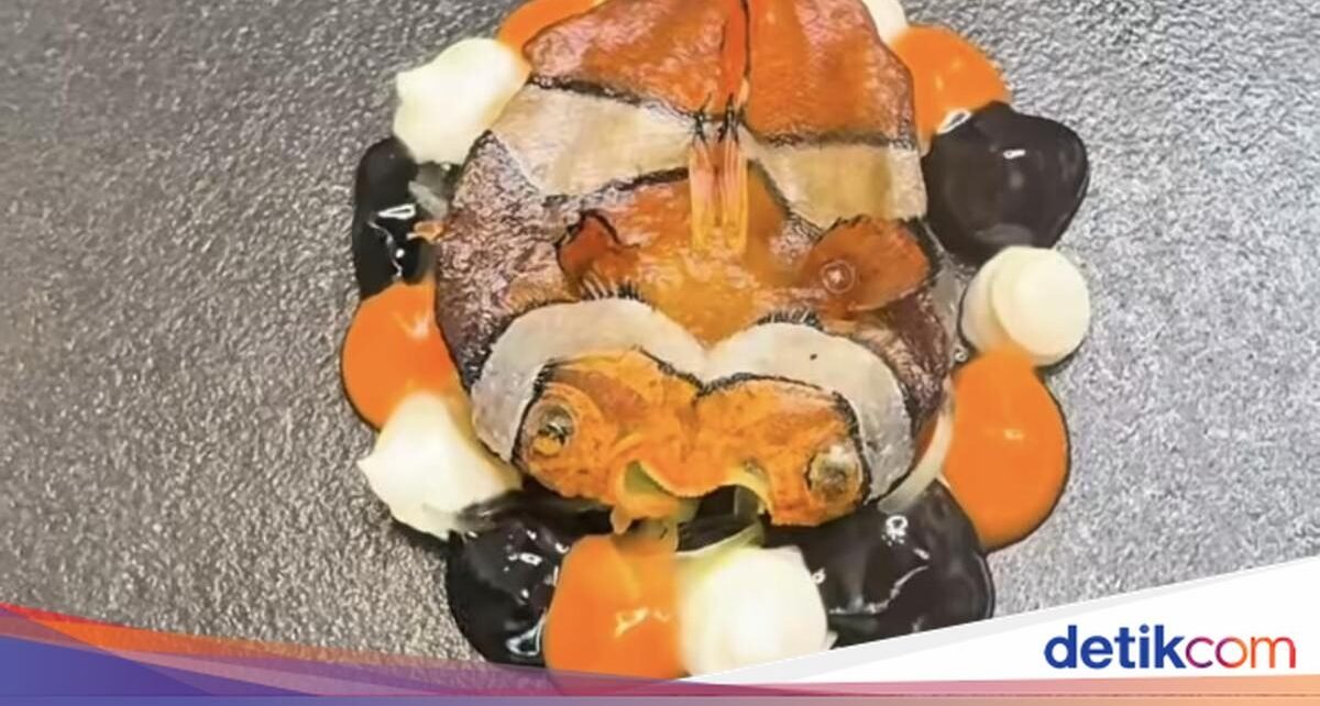 Wow! Chef Ini Nekat Masak Ikan Nemo jadi Menu Mewah