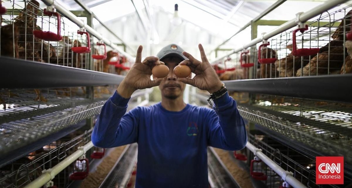 Dari Telur ke Energi, Limbah Ayam Disulap Jadi Biogas