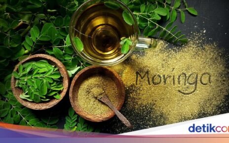 Manfaat Daun Kelor dalam Al-Quran, Bisa Perbaiki Imun dan Gula Darah