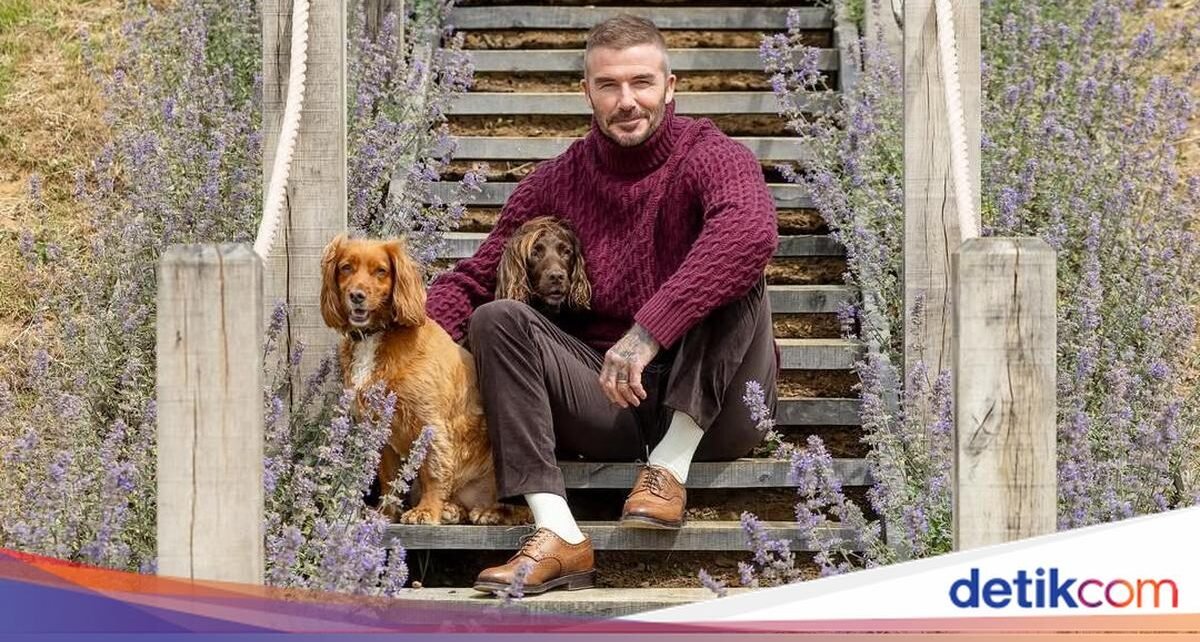 Potret David Beckham yang Hobi Berkebun hingga Ketika Ternak Ayam