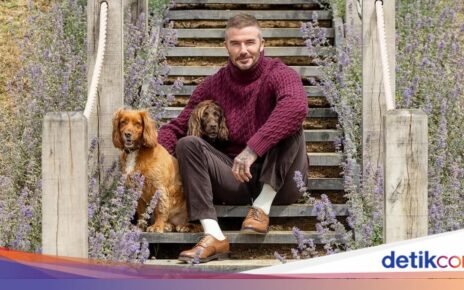 Potret David Beckham yang Hobi Berkebun hingga Ketika Ternak Ayam